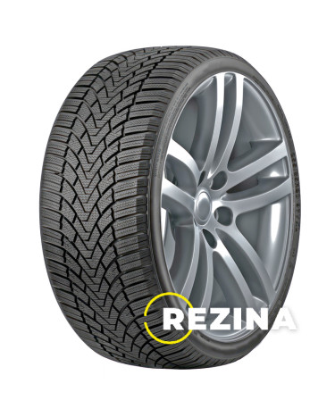 Roadmarch Winter Xpro 888 245/45 R17 99V XL