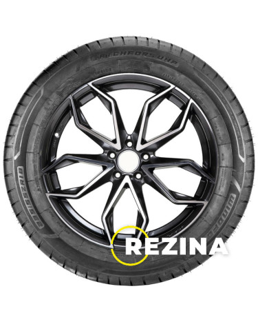 Windforce CatchFors UHP 275/40 R21 107W XL Demo