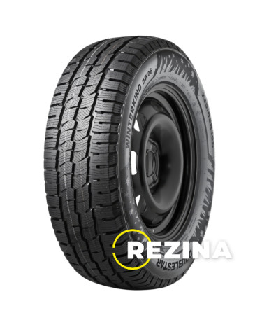 Doublestar WINTERKING DW06 215/65 R16C 109/107R