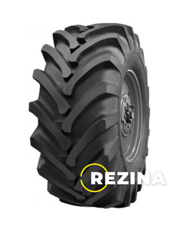 Dniproshyn FD-14A (s/g) 21.30 R24 PR10