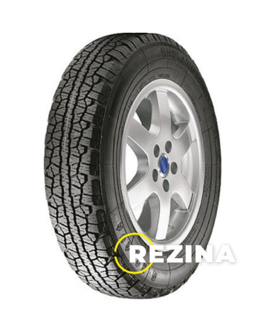 Rosava Bts-6 175/70 R13 82S (spike)