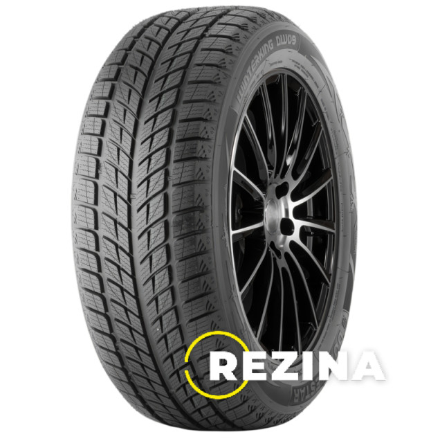 Doublestar WINTERKING DW09 255/50 R20 109H XL China 2025