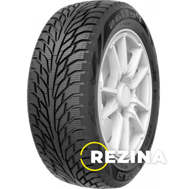 Petlas Glacier W661 185/65 R14 86T
