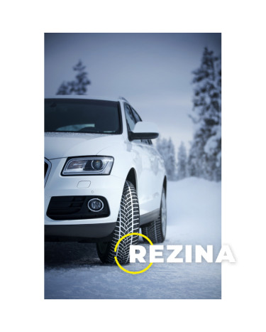 Goodyear UltraGrip Performance SUV Gen-1 245/50 R19 105V XL