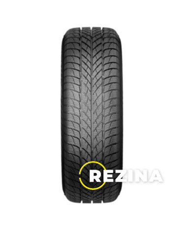 Paxaro INVERNO 225/45 R18 95V XL