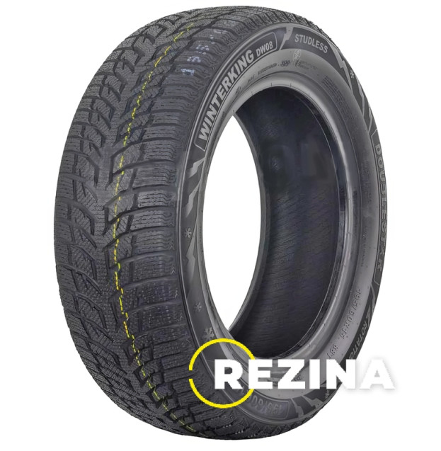Doublestar WINTERKING DW08 225/40 R18 92H XL China 2024