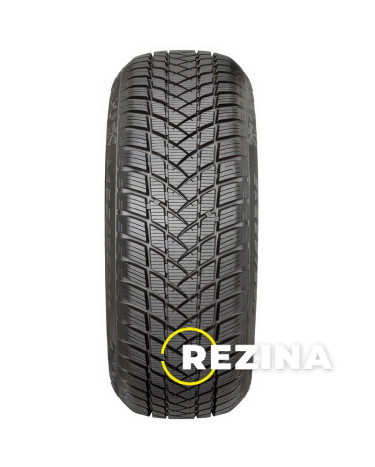 GT Radial WinterPro2 SPORT 225/55 R17 101V XL