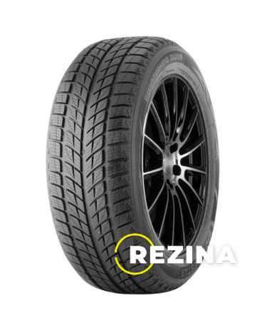 Doublestar WINTERKING DW09 235/55 R20 102H Demo