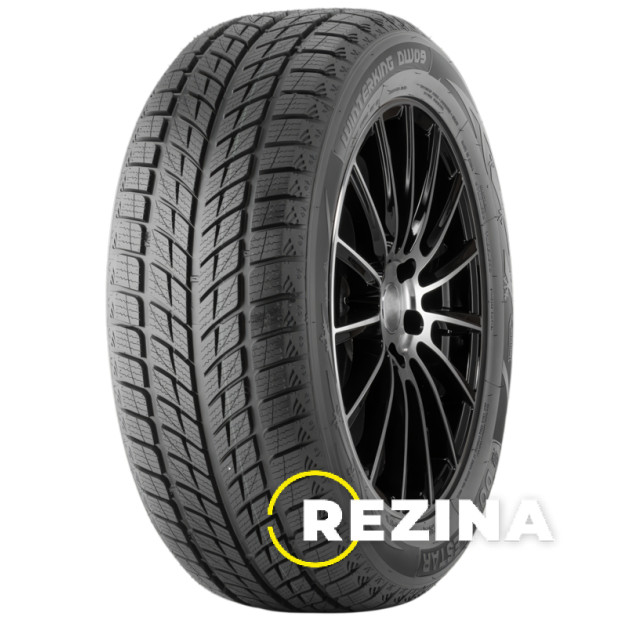 Doublestar WINTERKING DW09 235/55 R20 102H Demo
