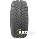 Doublestar WINTERKING DW09 235/55 R20 102H Demo