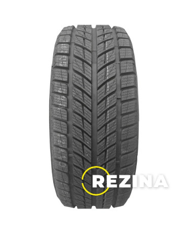 Doublestar WINTERKING DW09 235/55 R20 102H Demo