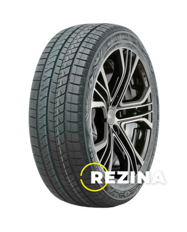Doublestar WINTERKING DW16 225/45 R19 96T XL