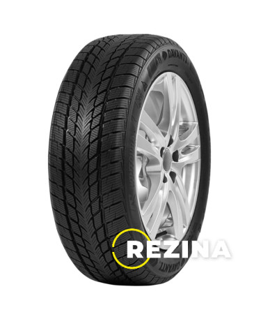 Davanti Wintoura 205/60 R16 96H