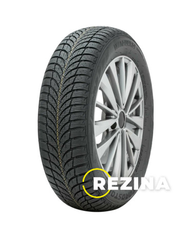 Roadstone Eurovis Alpine 2 195/60 R16 89H